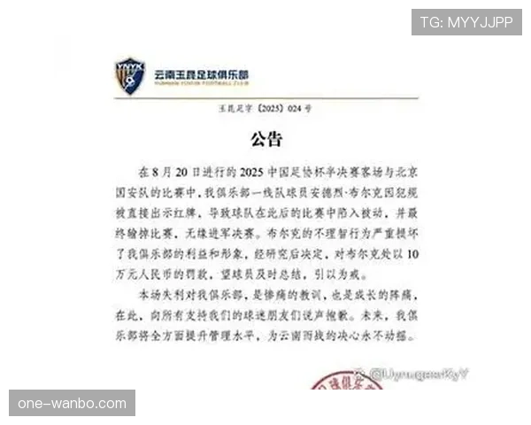 红牌停赛规则详解及关键判罚条件解析